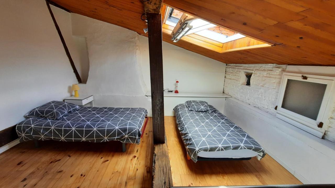 Promo24-31Mai 4Personnes Toulouse 15Mn 4 Lits Cuisine Sde Wc Apartment Montastruc-la-Conseillère Екстериор снимка